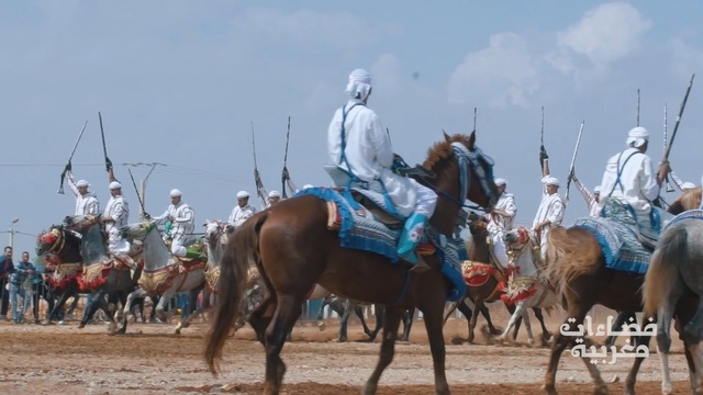 Video Reference N1: camel, pack animal, camel like mammal, horse like mammal, stallion, horse, sand, traditional sport, landscape, competition event