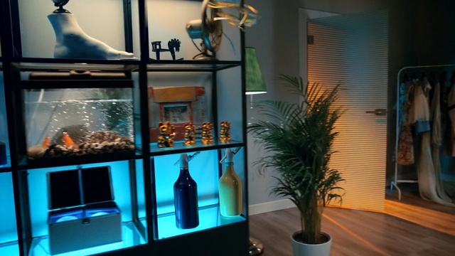 Video Reference N3: aquarium, glass, interior design, table, window