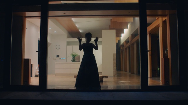 Video Reference N0: Dress, Fashion, Architecture, Window, Photography, Display window