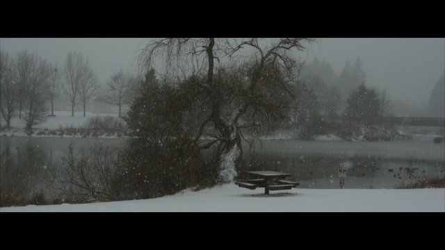 Video Reference N6: snow, winter, nature, freezing, water, atmosphere, tree, fog, black and white, frost