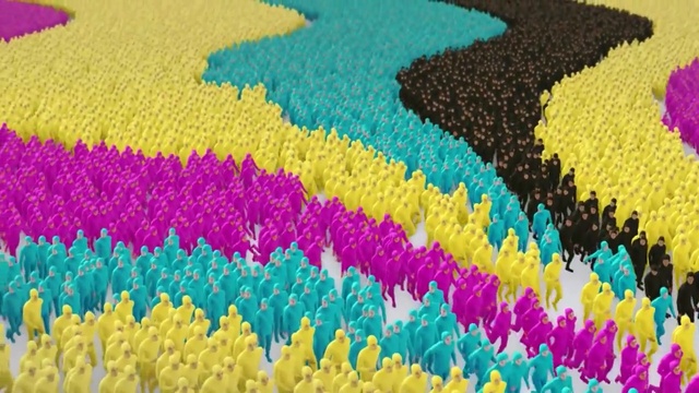 Video Reference N0: yellow, flower, petal, tulip, textile, grass, field, meadow