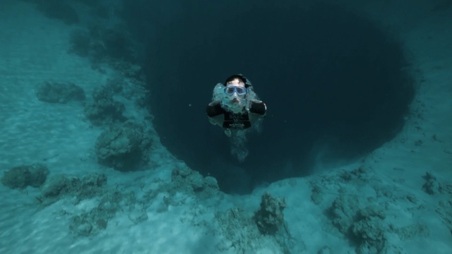 Video Reference N6: underwater diving, underwater, divemaster, water, freediving, scuba diving, sea, marine biology, aquanaut, organism, Person