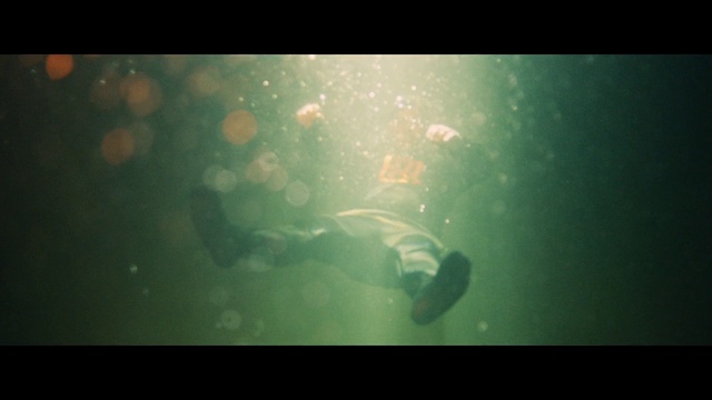 Video Reference N1: Green, Underwater, Organism, Water, Atmosphere, Marine biology, Screenshot
