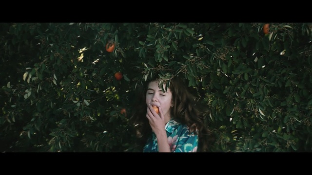 Video Reference N3: green, nature, ecosystem, tree, screenshot, leaf, darkness, plant, girl, grass, Person