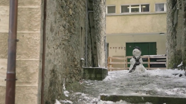 Video Reference N2: Wall, Tree, Snow, Facade, Person