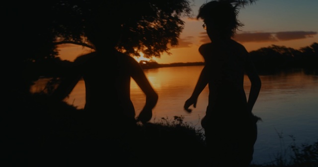 Video Reference N0: People in nature, Silhouette, Sky, Water, Friendship, Dusk, Fun, Tree, Human, Backlighting, Person