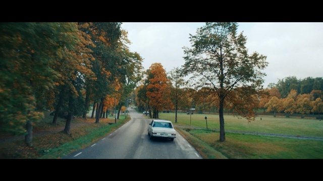 Video Reference N0: Tree, Nature, Road, Leaf, Sky, Autumn, Natural landscape, Mode of transport, Woody plant, Road trip