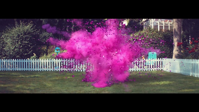 Video Reference N0: Pink, Light, Magenta, Purple, Tree, Grass, Sky, Font, Plant, Animation