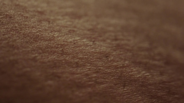 Video Reference N1: Skin, Brown, Close-up, Wood, Leather, Textile, Fur, Photography, Beige, Wood stain