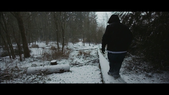 Video Reference N0: photograph, nature, tree, snow, winter, freezing, woody plant, water, darkness, forest