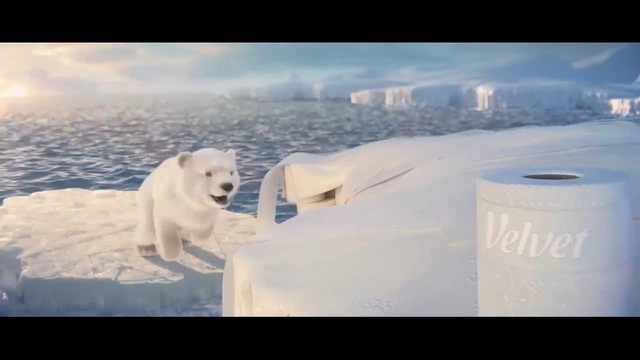 Video Reference N2: Polar bear, Bear, Arctic, Sky, Natural environment, Ice, Atmospheric phenomenon, Carnivore, Freezing, Polar bear