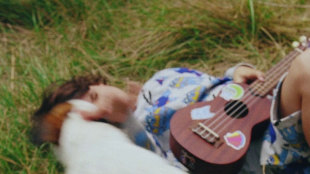 Video Reference N2: Guitar, String instrument, Plucked string instruments, Musical instrument, Grass, Ukulele, Spring, Fun, Acoustic guitar, Person, Outdoor, Little, Small, Food, Young, Child, Holding, Eating, Boy, Dog, Playing, Woman, Brown, Bird, Girl, Laying, Baby, Table, Plate, Ball, Standing, Cake, White, Bear, Group