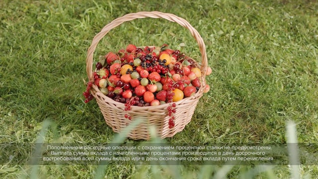 Video Reference N0: fruit, produce, local food, natural foods, grass, basket, food, berry, strawberries, vegetable