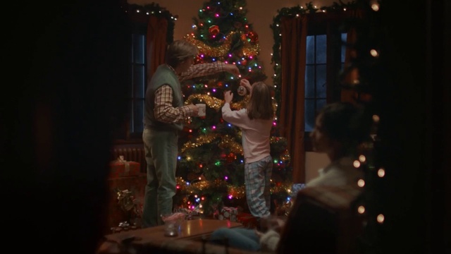Video Reference N1: Christmas, Christmas tree, Christmas ornament, Photograph, Tree, Christmas lights, Light, Lighting, Christmas decoration, Darkness