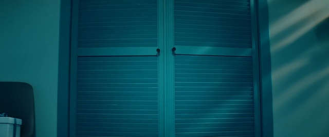Video Reference N2: Blue, Green, Turquoise, Teal, Aqua, Turquoise, Door, Architecture, Window covering, Wood