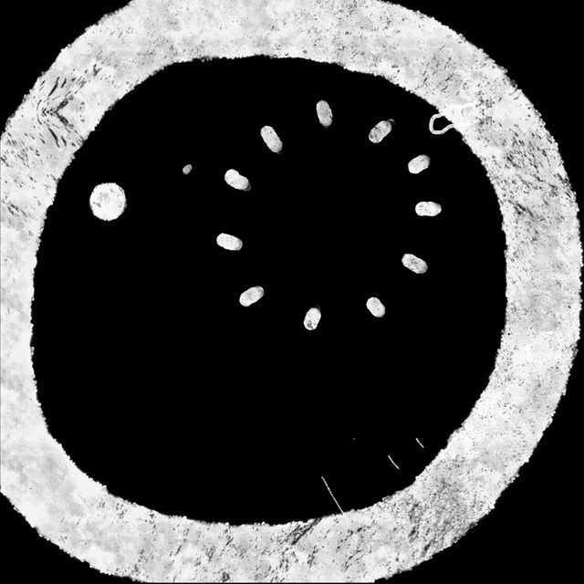 Video Reference N7: moon, black and white, monochrome photography, circle, monochrome, organism, sphere, astronomical object, font, sky