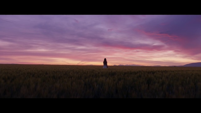 Video Reference N5: Sky, Horizon, Nature, Grassland, Dusk, Red sky at morning, Plain, Field, Prairie, Cloud
