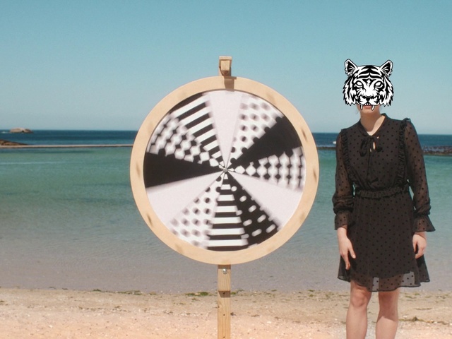Video Reference N3: Design, Wheel, Vacation, Pattern, Fashion accessory, Tourism