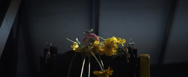 Video Reference N1: flower, yellow, plant, floristry, darkness, flower arranging, floral design, event
