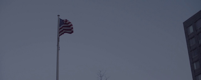 Video Reference N0: Flag, Sky, Flag of the united states, Pole, Tree, Cloud, Plant, Wind