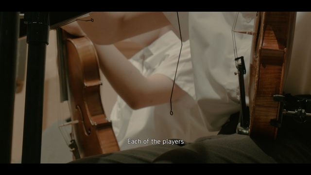 Video Reference N3: shoulder, arm, human body, string instrument, muscle, musical instrument, string instrument, joint, neck
