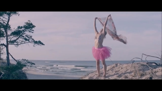 Video Reference N0: Photograph, Pink, Ballet, Performing arts, Dress, Dance, Fun, Ballet dancer, Performance, Dancer