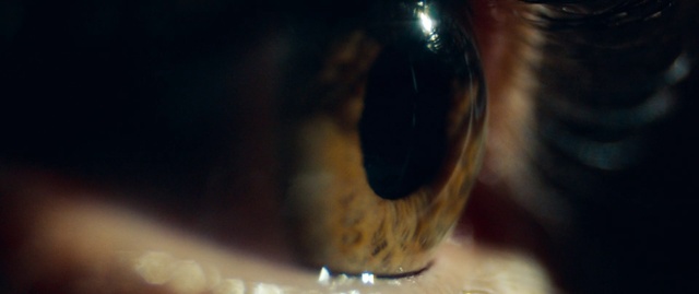 Video Reference N3: Close-up, Eye, Macro photography, Organ, Photography, Iris, Insect, Whiskers