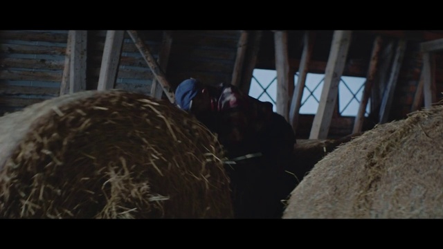 Video Reference N0: Straw, Hay, Screenshot