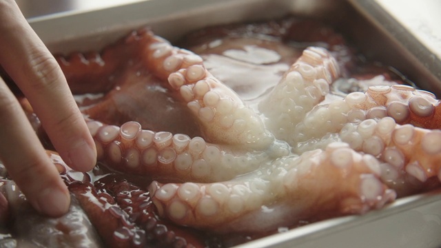 Video Reference N0: Food, Chicken feet, Dish, Cuisine, Octopus, Sannakji, Ingredient, Seafood, Comfort food, Delicacy