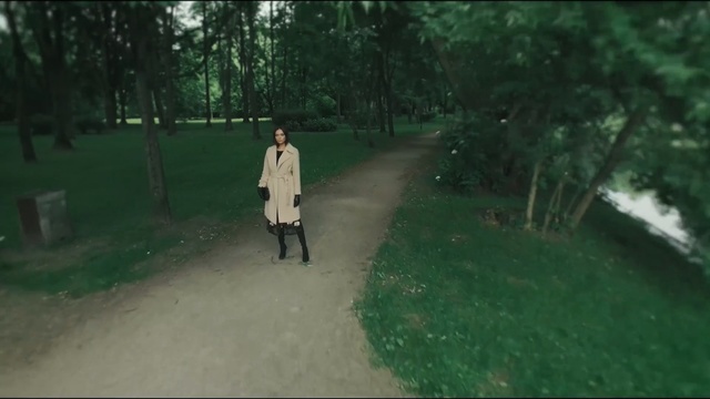 Video Reference N1: Green, Nature, Woodland, Natural environment, Leaf, Forest, Tree, Grass, Biome, Walking, Person