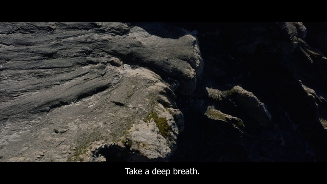 Video Reference N3: Rock, Geology, Geological phenomenon, Fault, Bedrock, Tree, Formation, Intrusion, Photography, Earth