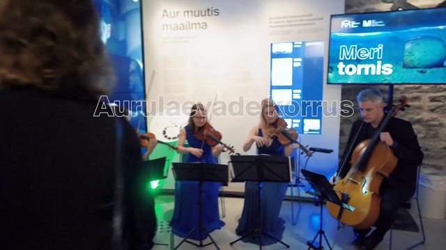 Video Reference N1: Event, Music, Musician, Performance, Musical instrument, String instrument
