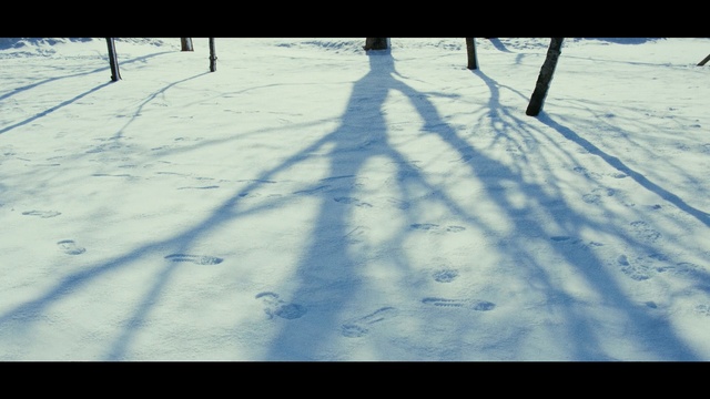 Video Reference N3: Snow, Winter, Sky, Shadow, Tree, Daytime, Freezing, Cloud, Line, Ice, Person