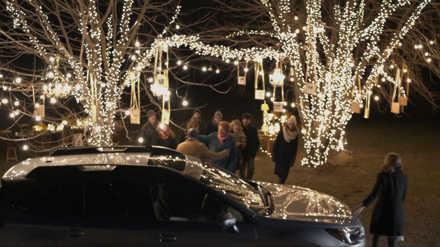 Video Reference N3: Lighting, Tree, Car, Christmas lights, Vehicle, Night, Christmas decoration, Luxury vehicle, Mid-size car, Event, Person