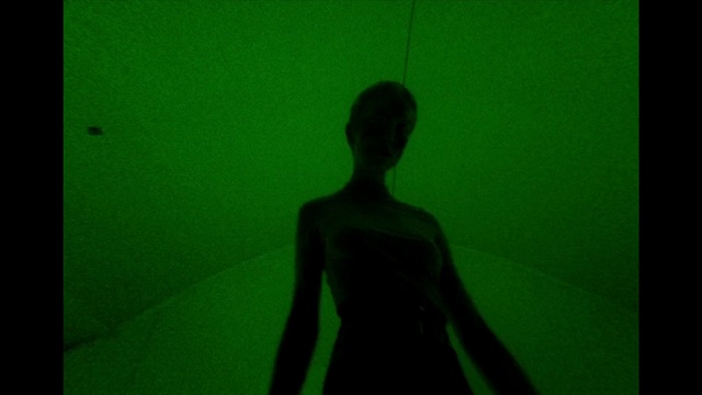 Video Reference N9: Green, Black, Red, Light, Standing, Shadow, Snapshot, Yellow, Silhouette, Darkness