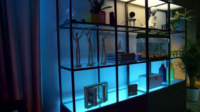 Video Reference N2: glass, display case, aquarium