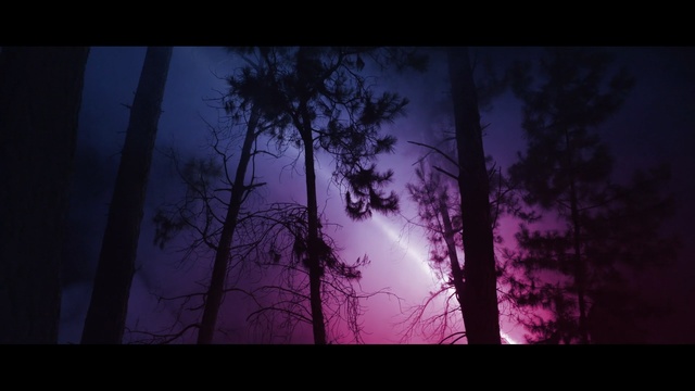 Video Reference N0: Sky, Nature, Tree, Atmospheric phenomenon, Purple, Natural environment, Violet, Forest, Natural landscape, Darkness, Person