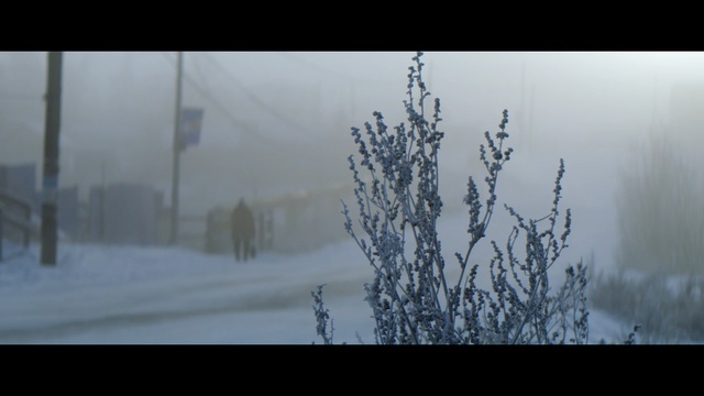 Video Reference N7: Nature, Atmospheric phenomenon, Freezing, Winter, Sky, Tree, Atmosphere, Fog, Morning, Snow