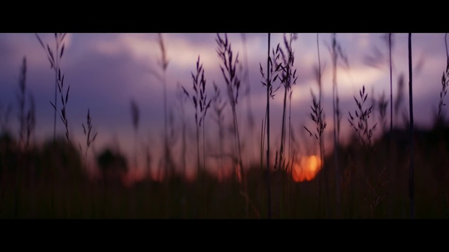 Video Reference N3: Sky, Nature, Atmosphere, Afterglow, Dusk, Atmospheric phenomenon, Evening, Branch, Darkness, Cloud, Person
