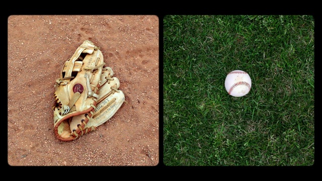Video Reference N0: Baseball glove, Grass, Organism, Personal protective equipment, Adaptation