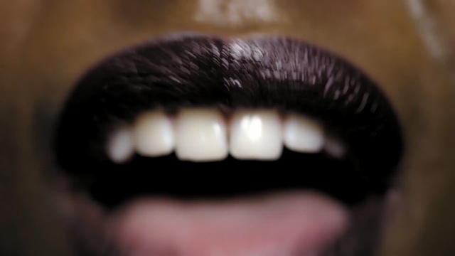 Video Reference N6: Lip, Face, Tooth, Eyebrow, Mouth, Skin, Nose, Close-up, Eyelash, Eye