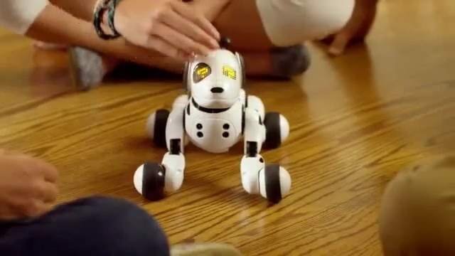 Video Reference N8: mammal, technology, toy, play, finger, material, robot, hand, carnivoran, machine, Person