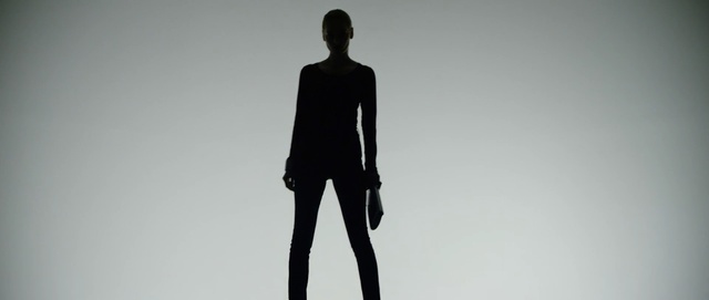 Video Reference N0: Black, Standing, White, Shoulder, Silhouette, Shadow, Joint, Human, Mannequin, Neck, Person