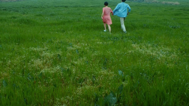 Video Reference N1: Grassland, Meadow, People in nature, Pasture, Prairie, Grass, Green, Natural environment, Field, Lawn