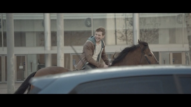 Video Reference N0: Horse, Mode of transport, Snapshot, Automotive exterior, Horse tack, Photography, Mane, Bridle, Vehicle, Window, Person