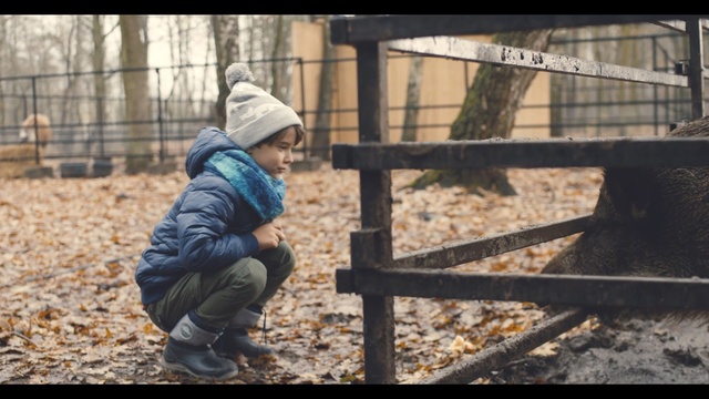 Video Reference N0: Child, Human, Headgear, Adaptation, Soil, Play, Sitting, Fence, Toddler, Person
