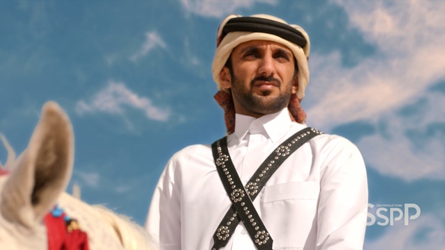 Video Reference N0: man, sky, arab, horse, rider, Person