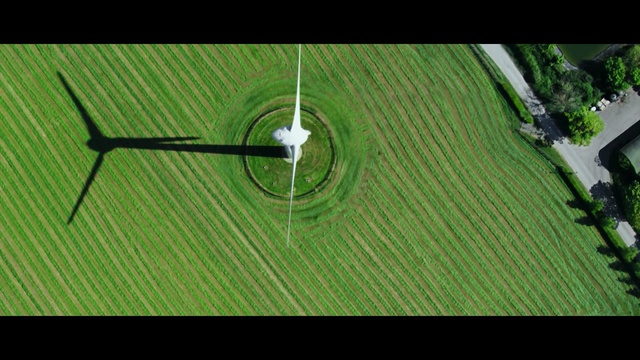 Video Reference N4: green, nature, leaf, grass, field, line, lawn, biome, plant, grass family