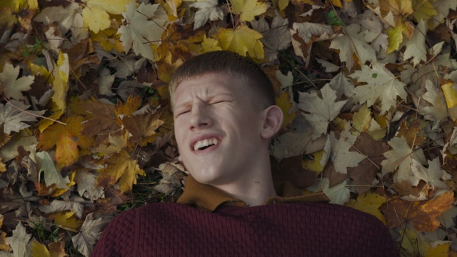 Video Reference N0: Facial expression, Leaf, Yellow, Autumn, Smile, Portrait, Fun, Tree, Adaptation, Happy, Person