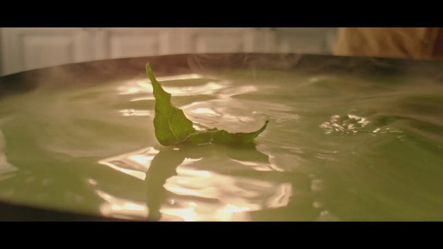 Video Reference N0: Water, Nature, Green, Leaf, Drop, Aquatic plant, Plant, Photography, Landscape, Reflection